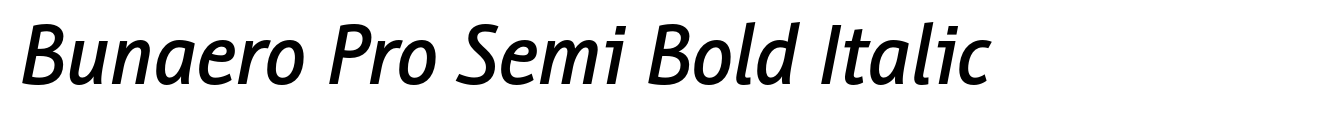 Bunaero Pro Semi Bold Italic